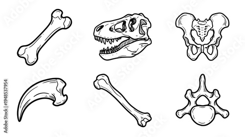 dinosaur bone, Hand-drawn outline doodle sketches vector set collection , white background , PNG and SVG isolate