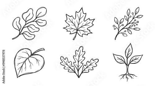 eco leaf, Hand-drawn outline doodle sketches vector set collection , white background , PNG and SVG isolate