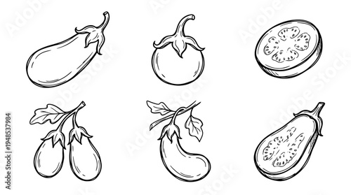 eggplant, Hand-drawn outline doodle sketches vector set collection , white background , PNG and SVG isolate