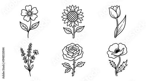 flower, Hand-drawn outline doodle sketches vector set collection , white background , PNG and SVG isolate
