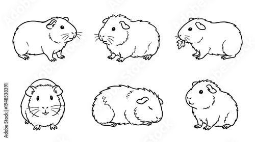 guinea pig, Hand-drawn outline doodle sketches vector set collection , white background , PNG and SVG isolate