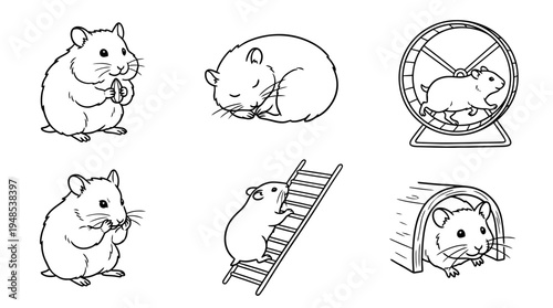 hamster, Hand-drawn outline doodle sketches vector set collection , white background , PNG and SVG isolate
