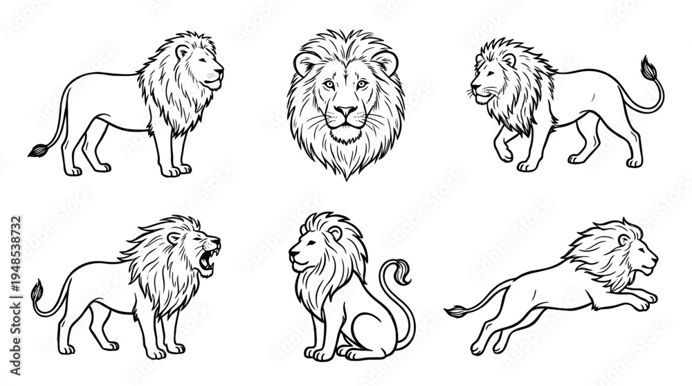 Obraz premium lion, Hand-drawn outline doodle sketches vector set collection , white background , PNG and SVG isolate