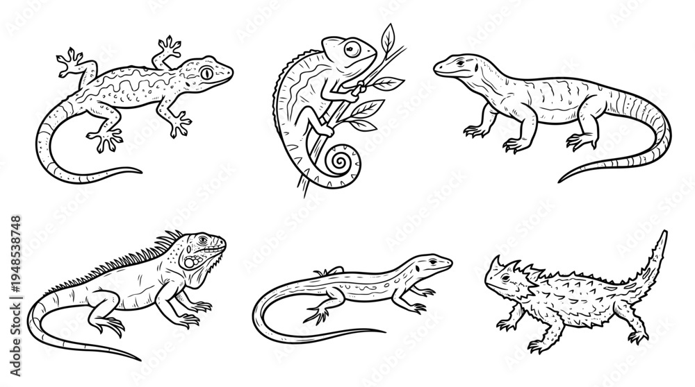 Obraz premium lizard, Hand-drawn outline doodle sketches vector set collection , white background , PNG and SVG isolate