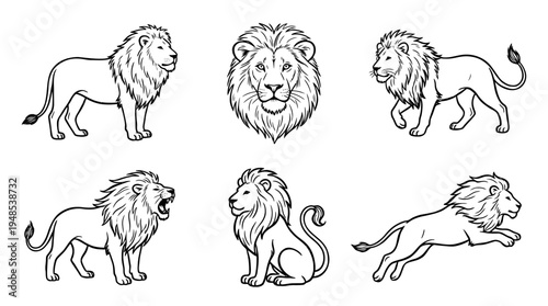 lion, Hand-drawn outline doodle sketches vector set collection , white background , PNG and SVG isolate