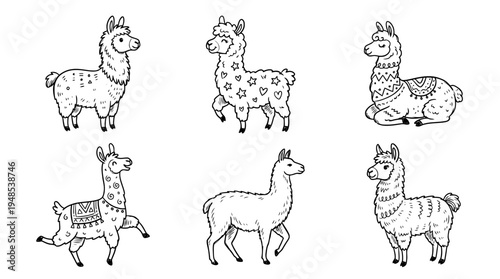 llama, Hand-drawn outline doodle sketches vector set collection , white background , PNG and SVG isolate