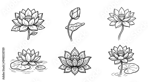 lotus, Hand-drawn outline doodle sketches vector set collection , white background , PNG and SVG isolate