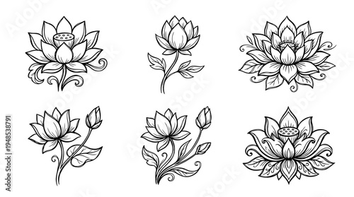 lotus flower, Hand-drawn outline doodle sketches vector set collection , white background , PNG and SVG isolate
