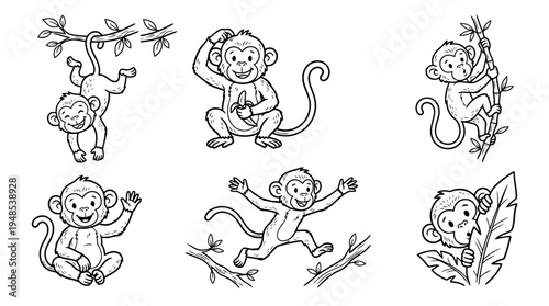 monkey, Hand-drawn outline doodle sketches vector set collection , white background , PNG and SVG isolate