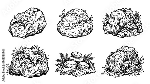 moss stone, Hand-drawn outline doodle sketches vector set collection , white background , PNG and SVG isolate