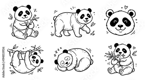 panda, Hand-drawn outline doodle sketches vector set collection , white background , PNG and SVG isolate