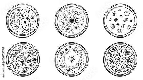 petri dish, Hand-drawn outline doodle sketches vector set collection , white background , PNG and SVG isolate