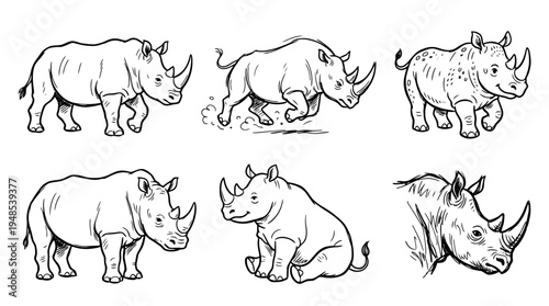 rhino, Hand-drawn outline doodle sketches vector set collection , white background , PNG and SVG isolate