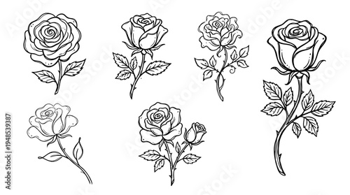 rose, Hand-drawn outline doodle sketches vector set collection , white background , PNG and SVG isolate