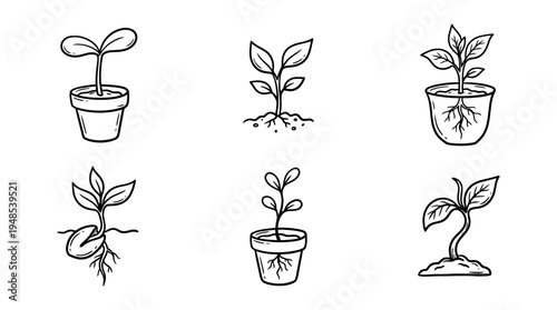 seedling, Hand-drawn outline doodle sketches vector set collection , white background , PNG and SVG isolate