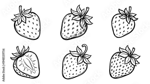 strawberry, Hand-drawn outline doodle sketches vector set collection , white background , PNG and SVG isolate