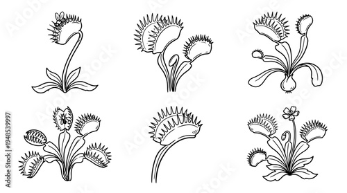 venus flytrap, Hand-drawn outline doodle sketches vector set collection , white background , PNG and SVG isolate