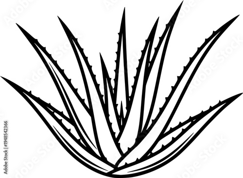 aloe vera silhouette line art vector illustration with a white background