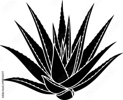 aloe vera silhouette line art vector illustration with a white background