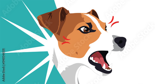 Aggressive jack russell terrier dog head showing teeth with red popping veins on a white and teal background.