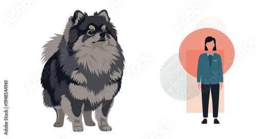 Fluffy black and grey pomeranian dog standing next to a stylized silhouette icon of a woman on a plain white background.