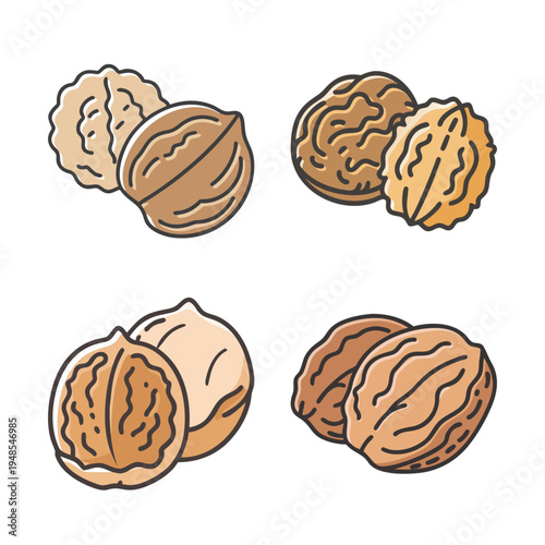 Walnut shell and kernel vector illustrations, organic brown nut set in line art style, healthy snack food icons for culinary design