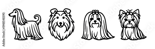 Four long haired dog heads in a row on gray background