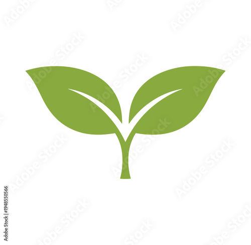 Green leafy plant sprout with two leaves growing naturally