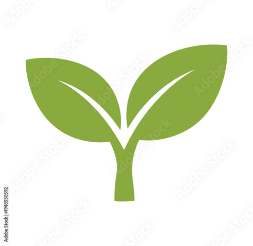 Green plant sprout with two leaves icon symbol  simple illustration