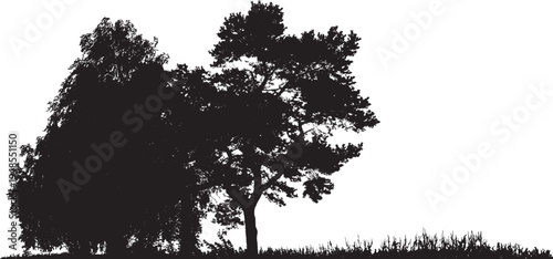 Natural pine and deciduous trees silhouette landscape vector isolated on white background