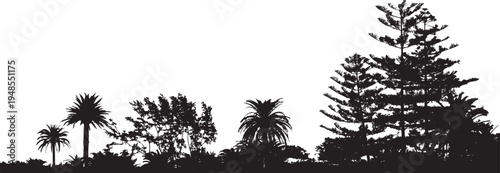 Exotic palm trees and tropical trees silhouettes vector isolated on white background