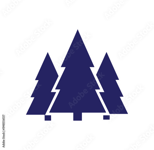 Three pine trees in a row on white background  evergreen forest