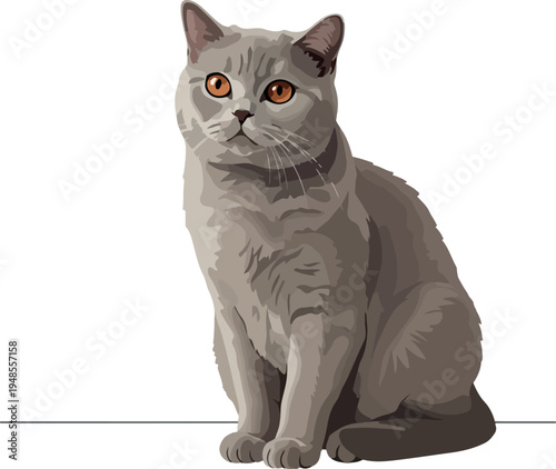 British Shorthair Cat Gray Sitting Isolated White Background Realistic Vector