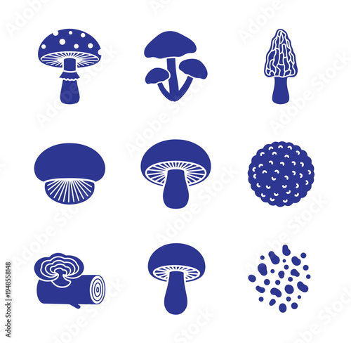 Various mushroom types and a log with fungus growth  different fungi illustrations