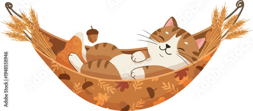 Cute Cat Sleeping in Autumn Hammock with Wheat and Acorns