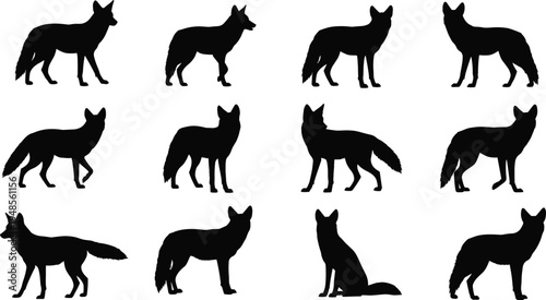 Fox animal silhouette collection, wild fox standing walking and sitting poses set, wildlife mammal vector illustration isolated