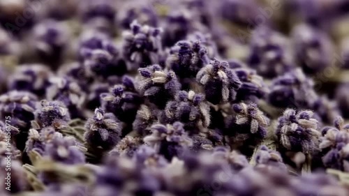 Beautiful Macro Close Up of Dried Purple Lavender Flowers for Relaxing Natural Background.