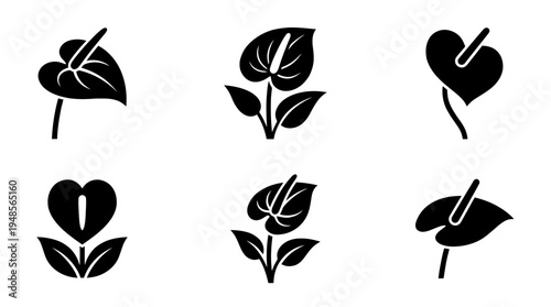 collection of anthurium, 6 filled black minimal icon vector set , white background , PNG and SVG isolate