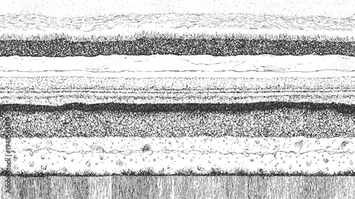 Cross section of earth layers showing soil strata grass roots and wavy surface textures