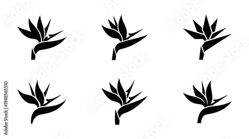 collection of bird of paradise, 6 filled black minimal icon vector set , white background , PNG and SVG isolate