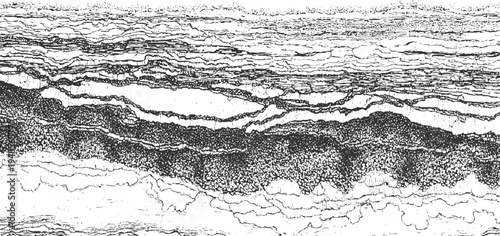 Abstract textured monochrome pattern with organic wavy lines and granular details