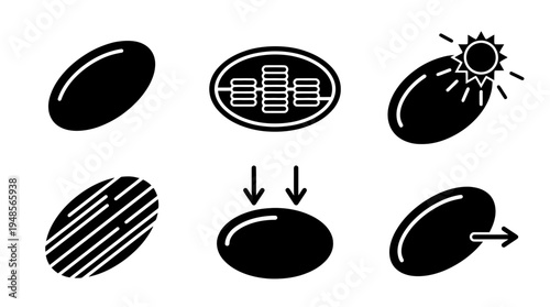 collection of chloroplast, 6 filled black minimal icon vector set , white background , PNG and SVG isolate