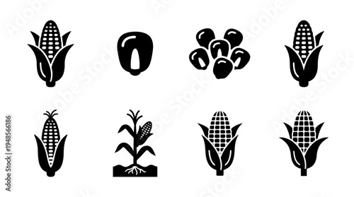 collection of corn, 6 filled black minimal icon vector set , white background , PNG and SVG isolate