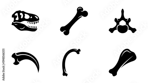 collection of dinosaur bone, 6 filled black minimal icon vector set , white background , PNG and SVG isolate