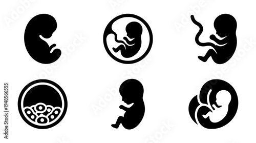 collection of embryo, 6 filled black minimal icon vector set , white background , PNG and SVG isolate