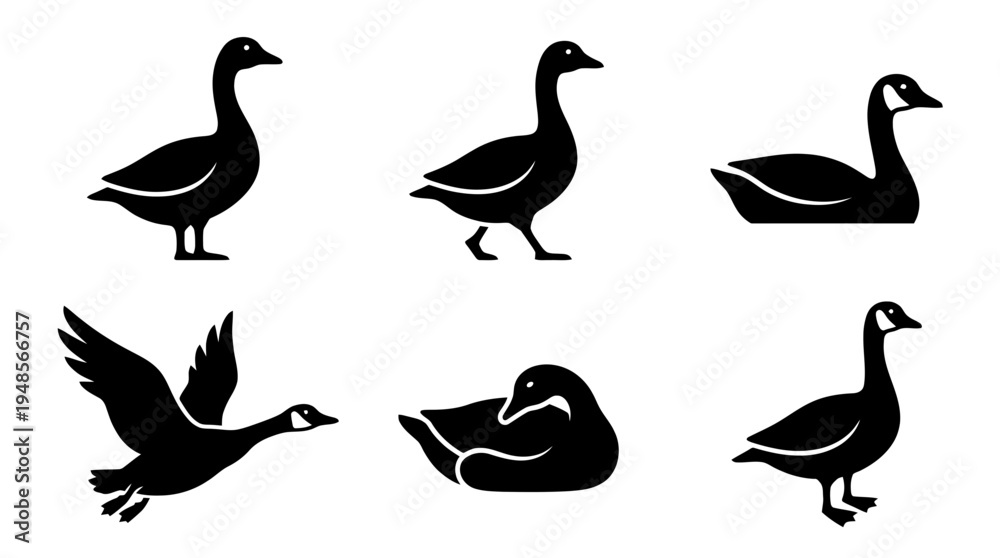 Fototapeta premium collection of goose, 6 filled black minimal icon vector set , white background , PNG and SVG isolate