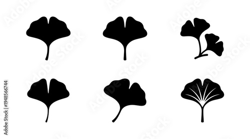 collection of ginkgo leaf, 6 filled black minimal icon vector set , white background , PNG and SVG isolate