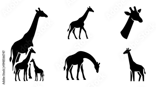 collection of giraffe, 6 filled black minimal icon vector set , white background , PNG and SVG isolate