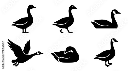 collection of goose, 6 filled black minimal icon vector set , white background , PNG and SVG isolate
