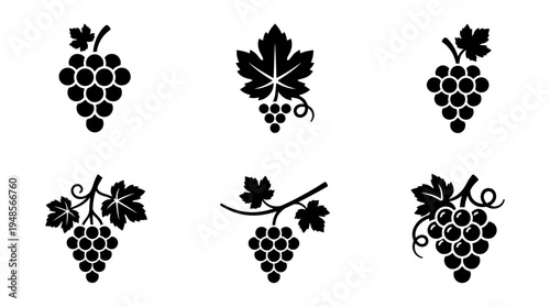 collection of grape vine, 6 filled black minimal icon vector set , white background , PNG and SVG isolate